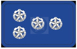 Hodnostné označenie - Nadrotník