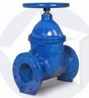 Šupátko EKO Plus DN 80 , PN 16 8d